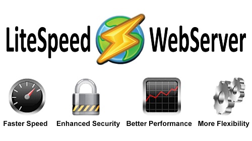 litespeed web server license