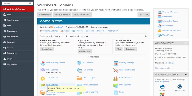 آموزش تنظیم IP روی subdomain در پلسک