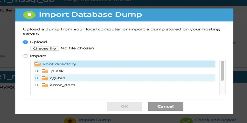 آموزش Restore دیتابیس MSSQL در پلسک