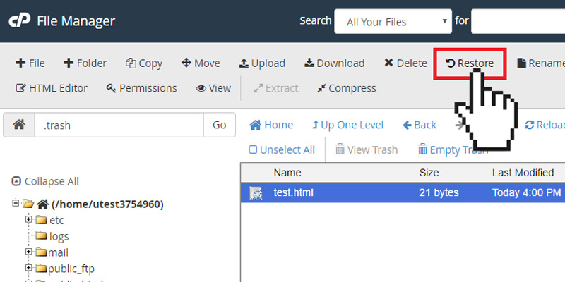 آموزش بازگردانی فایل های حذف شده در سی پنل