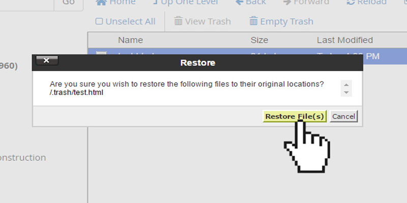 آموزش بازگردانی فایل های حذف شده در سی پنل