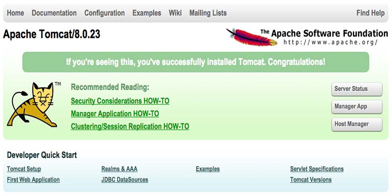 roles in apache tomcat 8 roles in apache tomcat 8